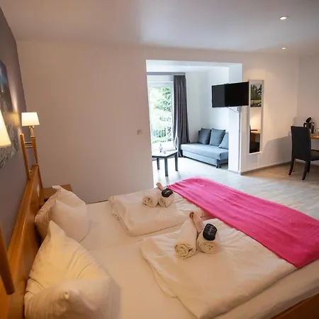 Loft 3* Willingen (Upland)