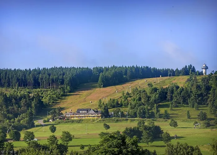 Loft Willingen (Upland)